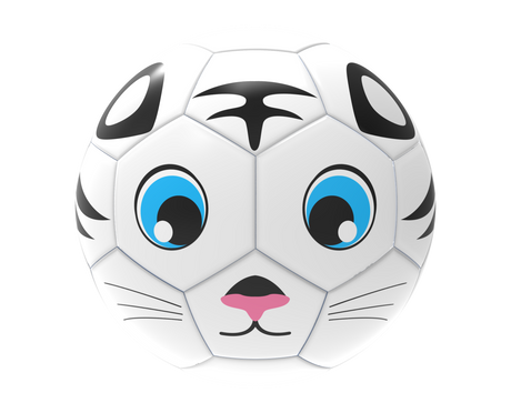 Fun Recreational soccer ball - Pro Game Sports