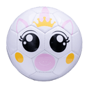 Fun Recreational soccer ball - Pro Game Sports