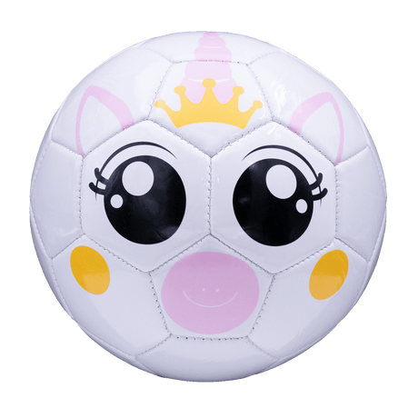 Fun Recreational soccer ball - Pro Game Sports