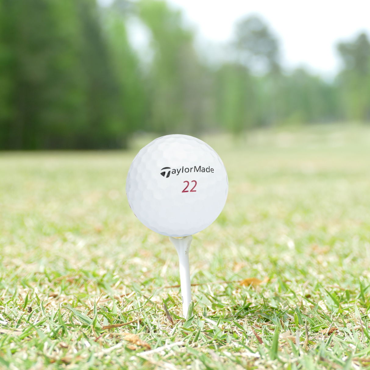 Used TaylorMade 2018 Project (a) Golf Balls - 1 Dozen