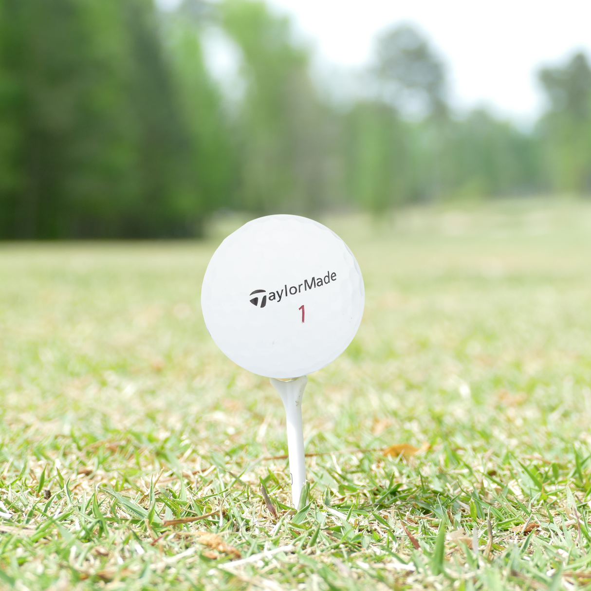 Used TaylorMade TP5x Golf Balls - 1 Dozen