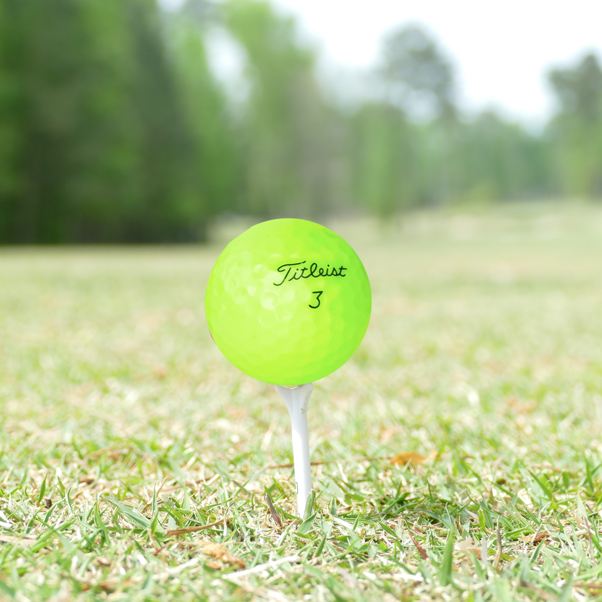 Used Titleist Color Mix Golf Balls - 1 Dozen