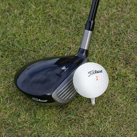 Used Titleist Mix Golf Balls - 1 Dozen - Pro Game Sports