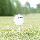 Used Titleist Mix Golf Balls - 1 Dozen - Pro Game Sports