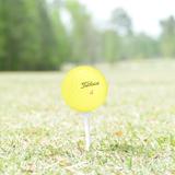 Used Titleist Pro V1x Yellow Mix Golf Balls - 1 Dozen