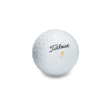 Used Titleist Velocity Golf Balls - 1 Dozen