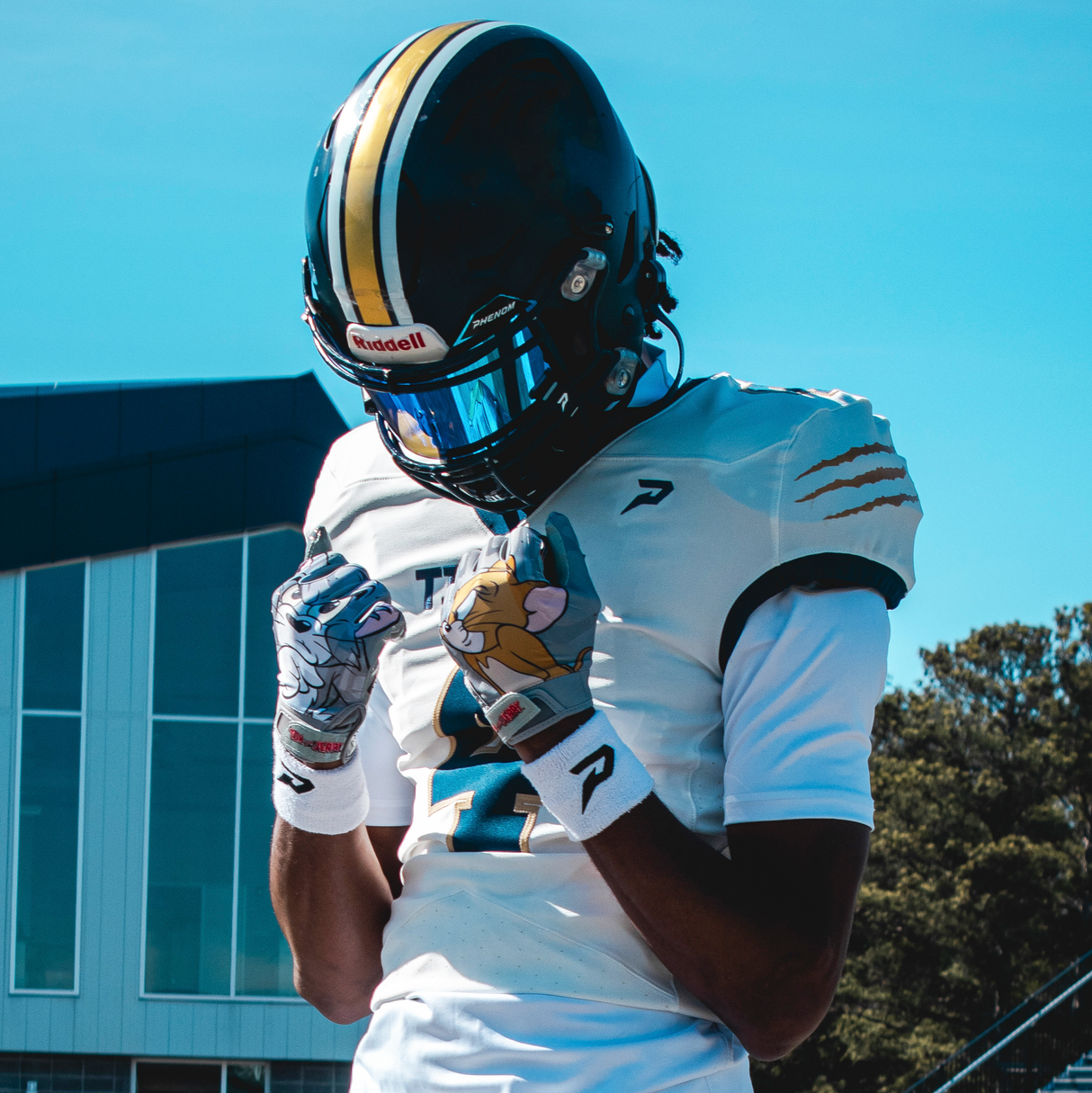 Tom and Jerry Football Gloves - VPS1 by Phenom Elite - Pro Game Sports