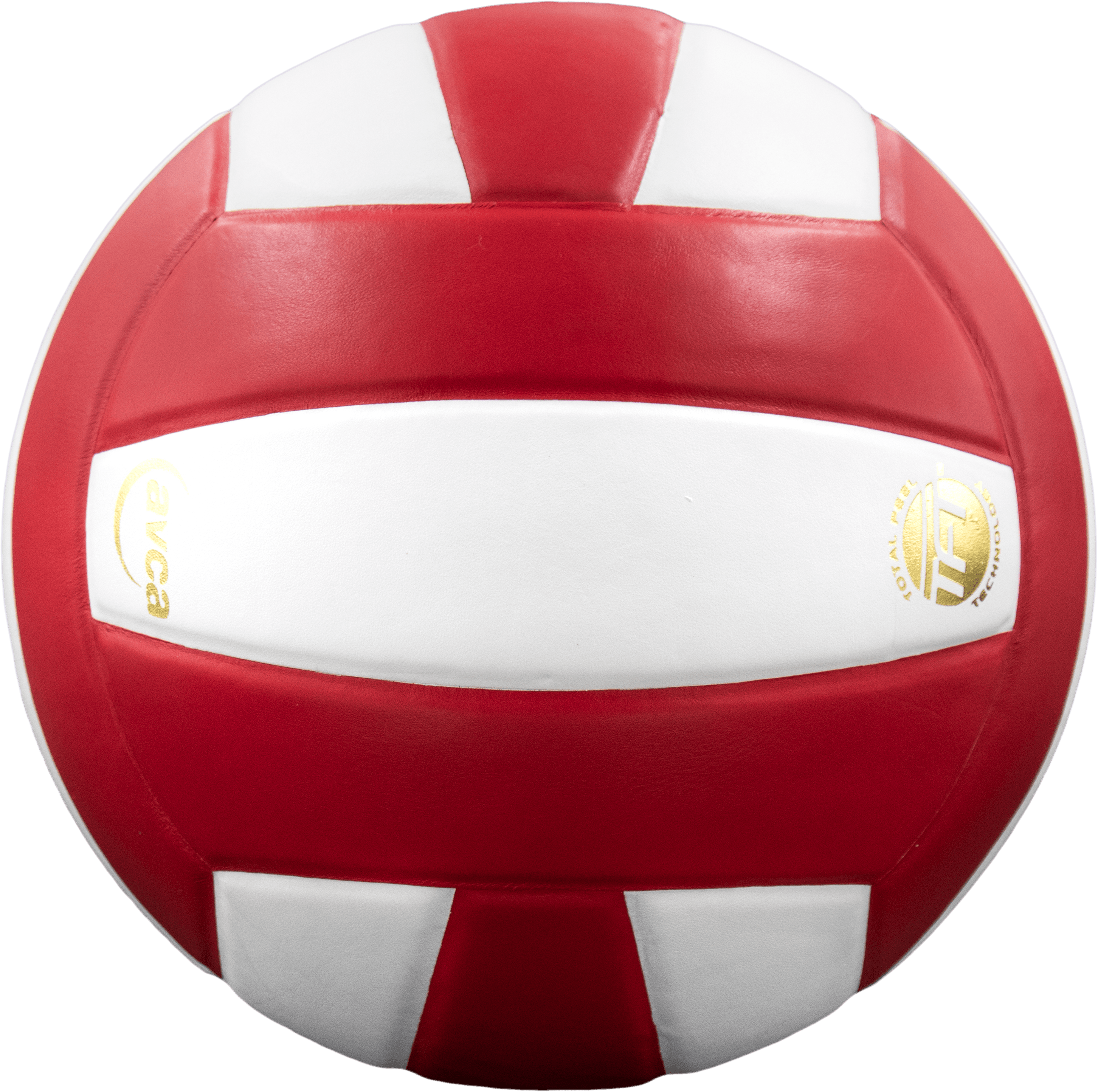 Perfection Leather Volleyball