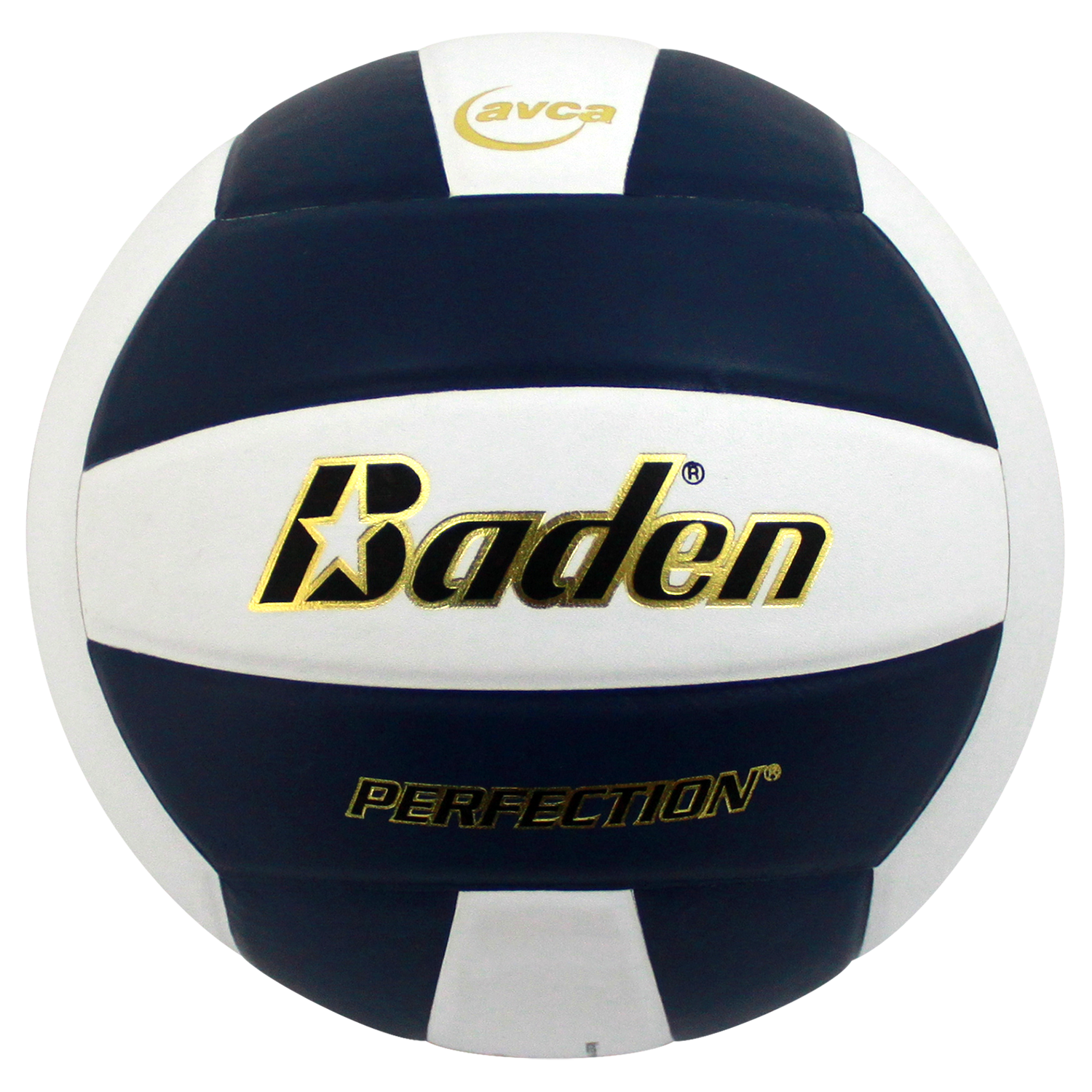 Perfection Leather Volleyball