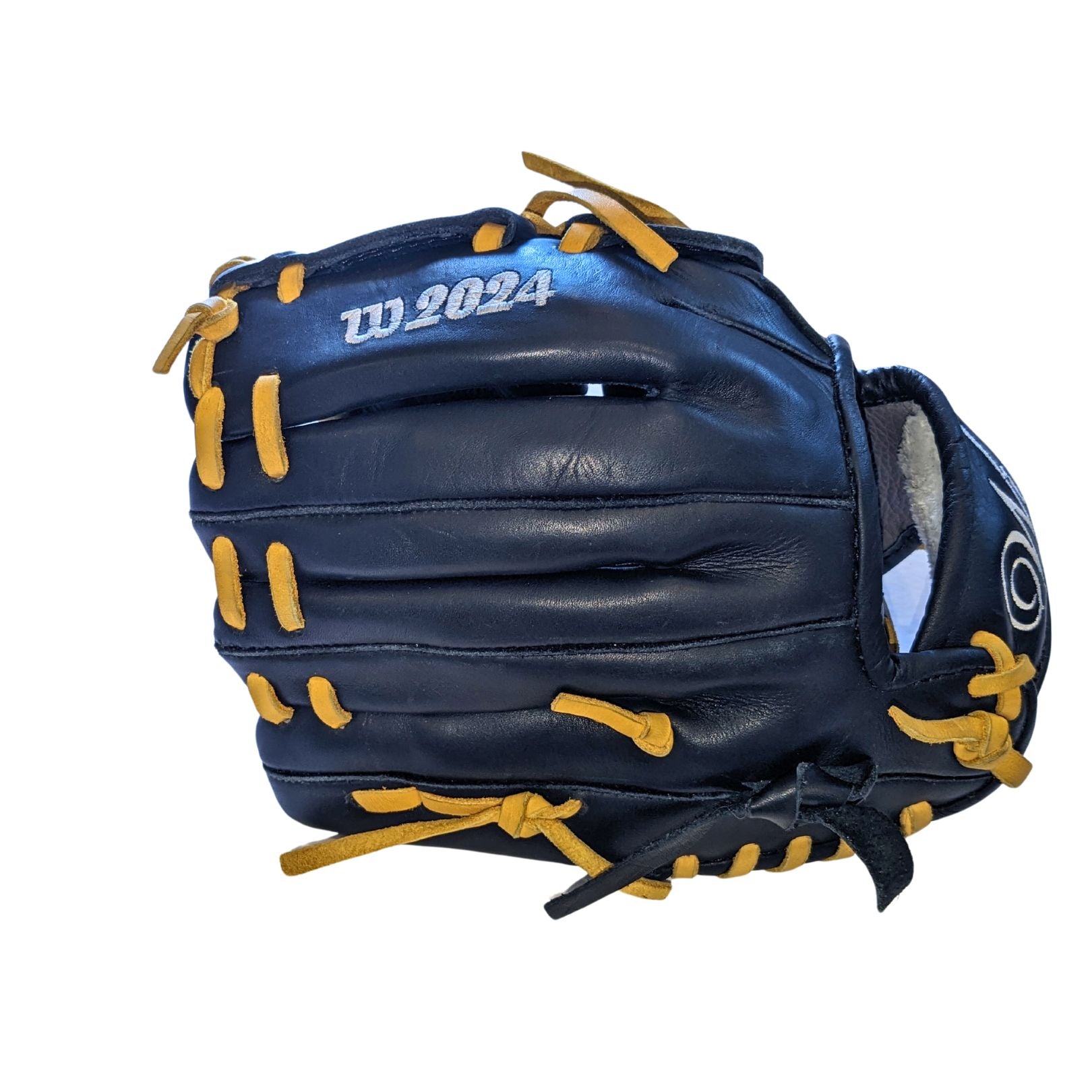 WI20 Infielders Glove