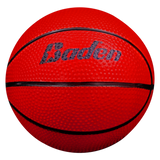 FUTURE PRO MINI HOOP SET