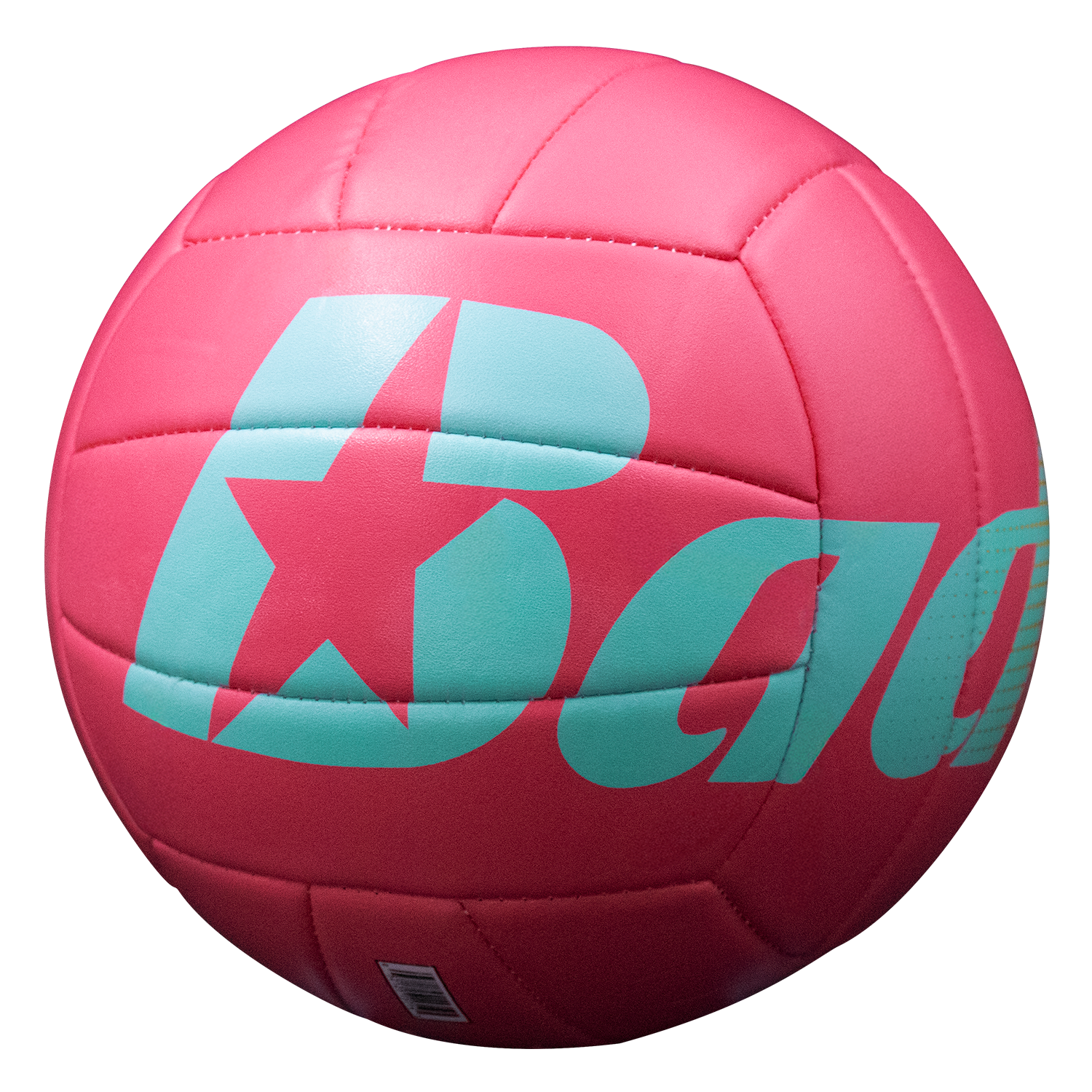 Baden Paradise Volleyballs