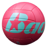 Baden Paradise Volleyballs