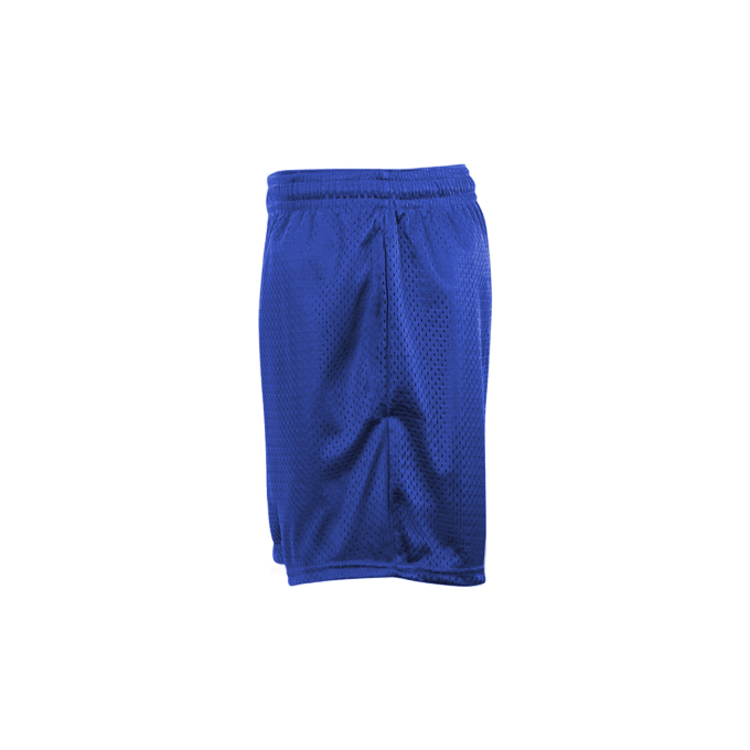 Tricot Mesh 5" In Short