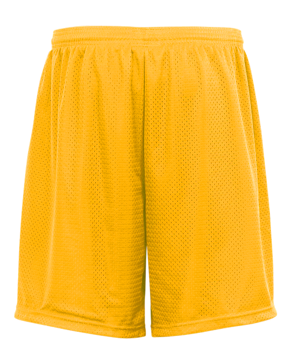 Mesh/Tricot 9 Inch Short