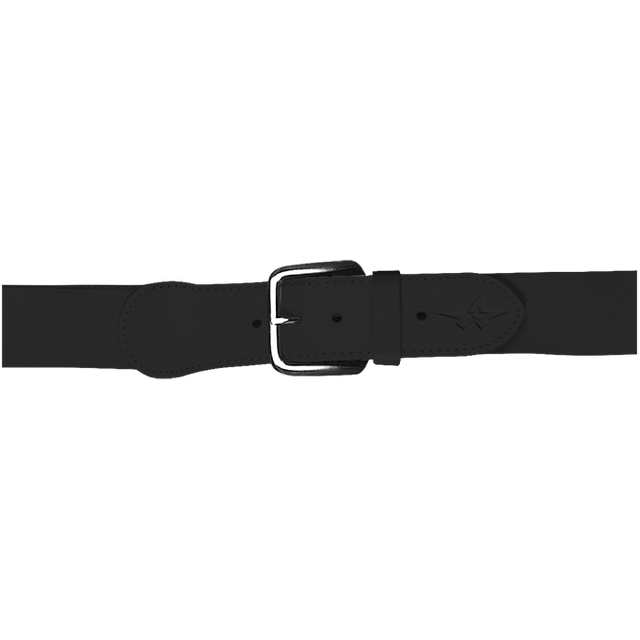Black belt with a silver buckle on a white background