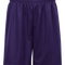 Mini Mesh 9 Inch Short - Pro Game Sports