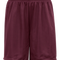 Mesh/Tricot 9 Inch Short - Pro Game Sports