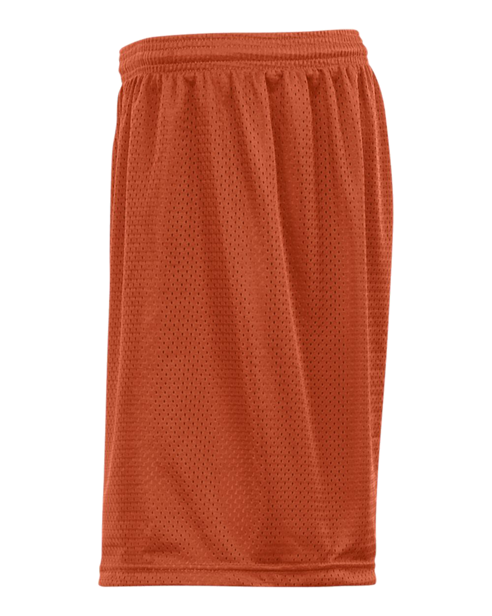 Mesh/Tricot 9 Inch Short