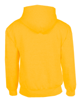 Athletic Fleece Hoodie