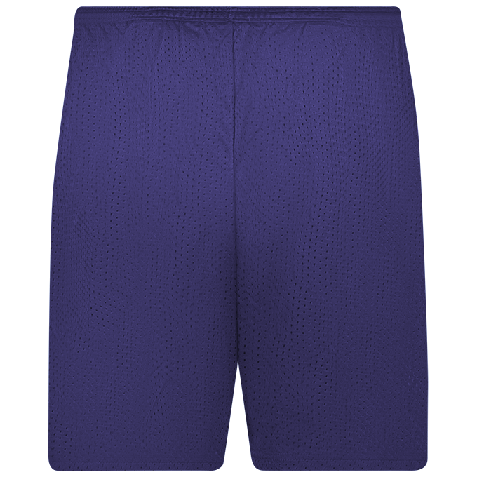 C2 Mesh 9 Inch Short