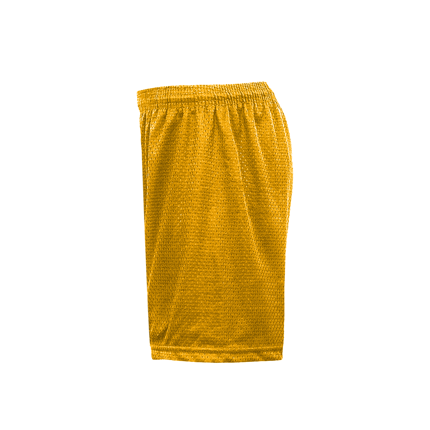 Mesh/Tricot Women's Short