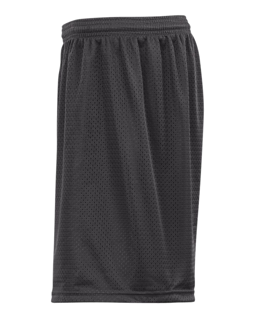 Mesh/Tricot 9 Inch Short
