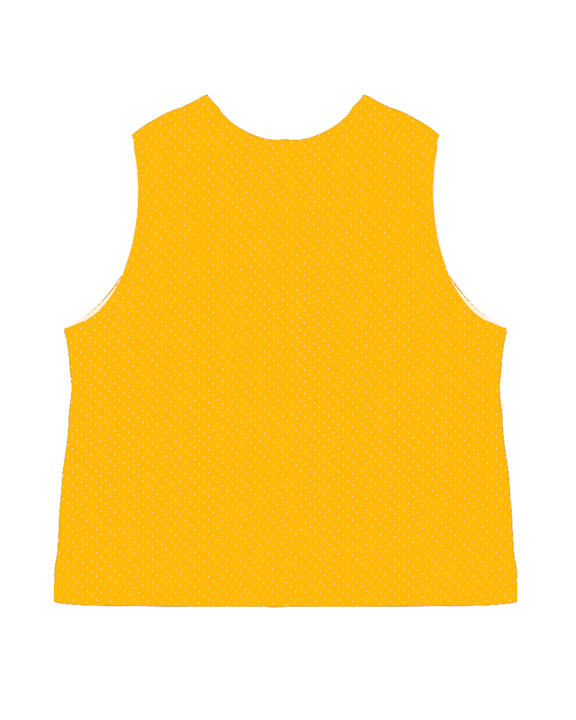 C2 Mesh Womens Pinnie