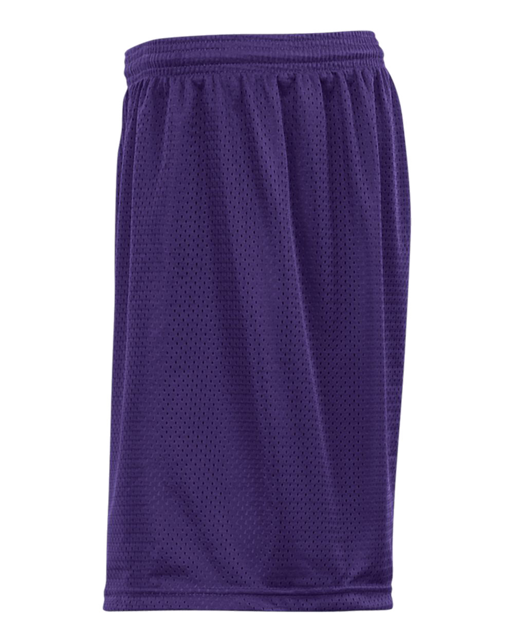 Mesh/Tricot 9 Inch Short