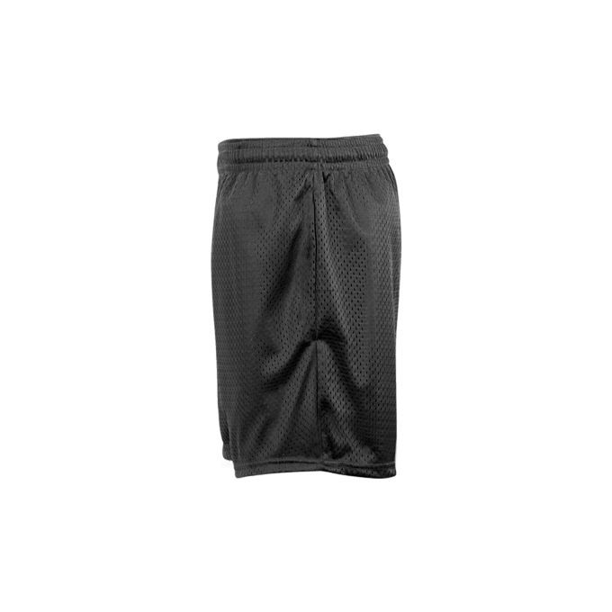Tricot Mesh 5" In Short