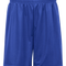 Mini Mesh 9 Inch Short - Pro Game Sports