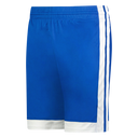 LADIES SINGLE-PLY BASKETBALL SHORTS