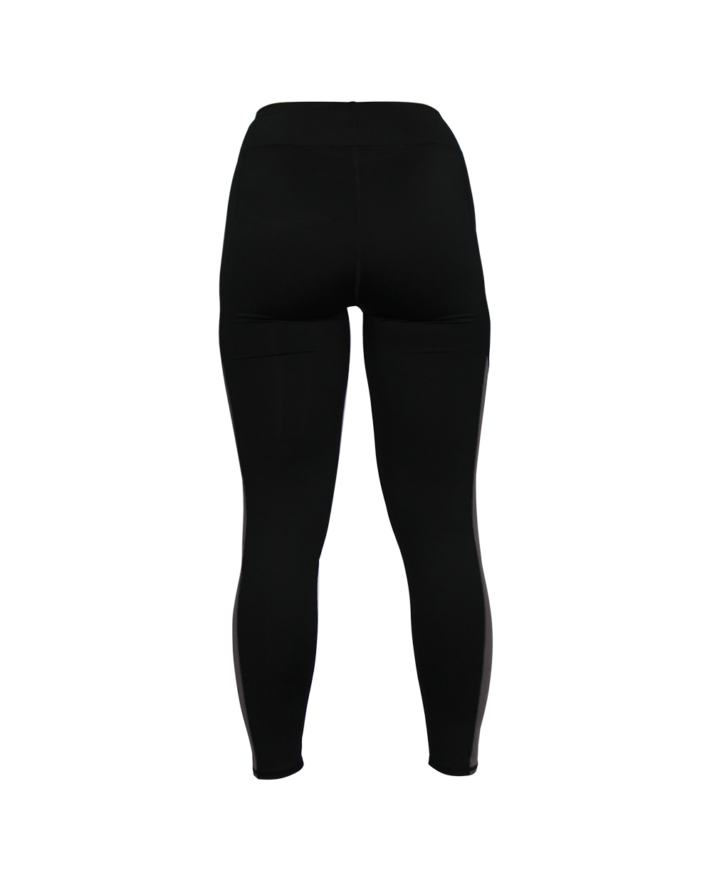 Panel Women's Tight