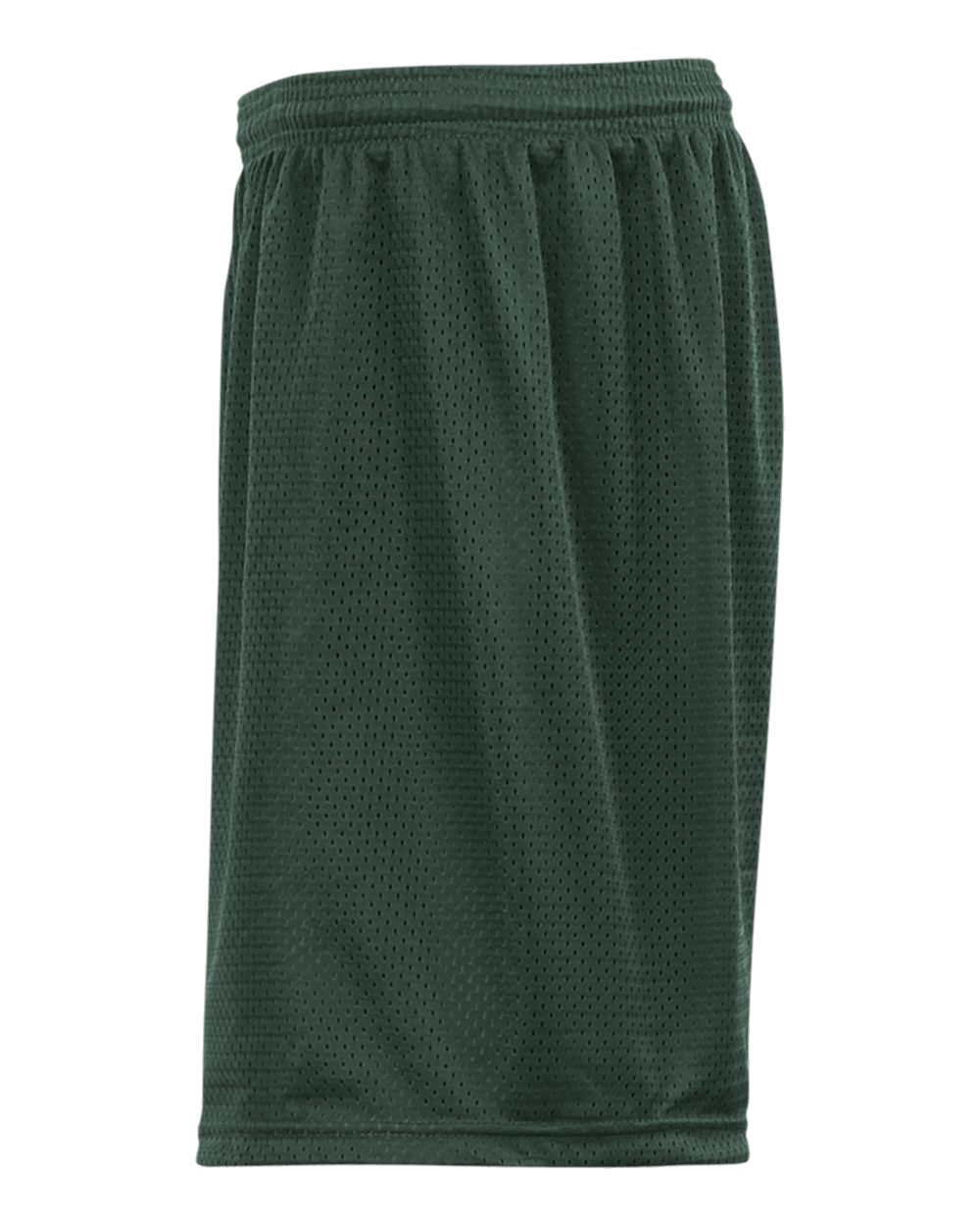 Mesh/Tricot 9 Inch Short